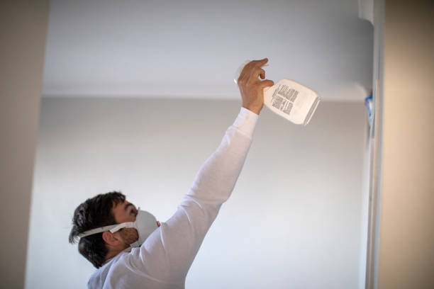 Middlesex, NC Mold Removal Company