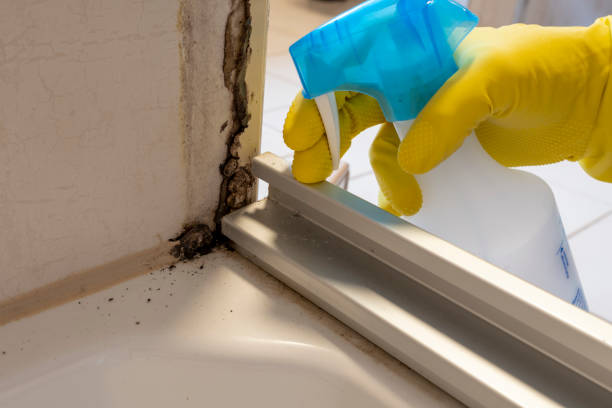 Best Mold Cleaning Services  in Middlesex, NC
