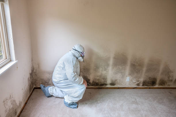 Best Mold Testing  in Middlesex, NC